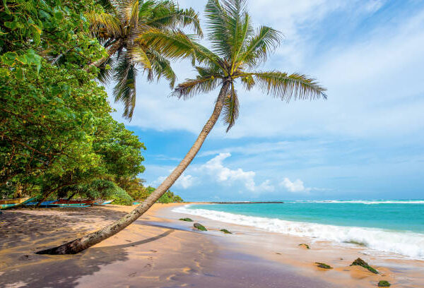 The famous Mirissa Beach which is located on the South Coast of Sri Lanka.